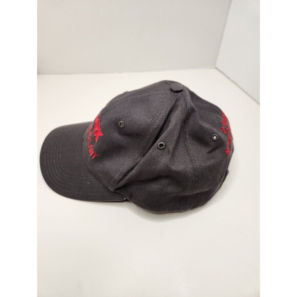 Pyrex Hat Cap Strap Back Gray Adjustable - Picture 2 of 5